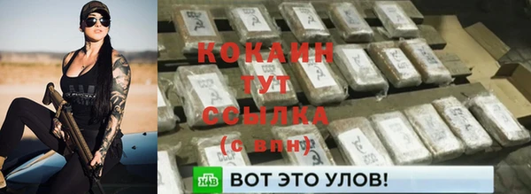 молекула духа Инсар