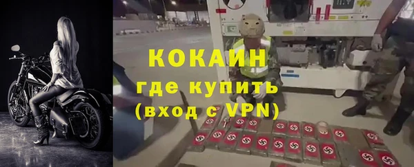 молекула духа Инсар