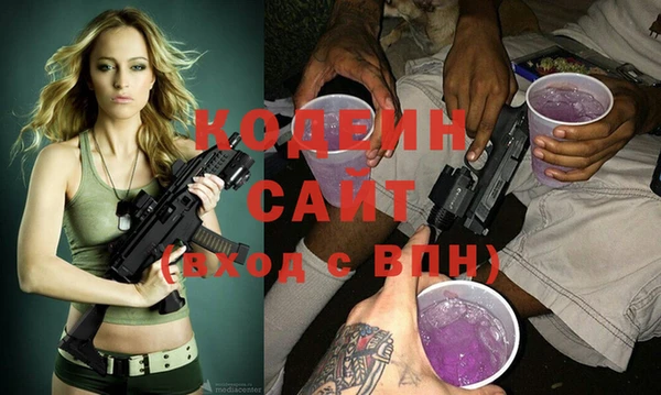 молекула духа Инсар